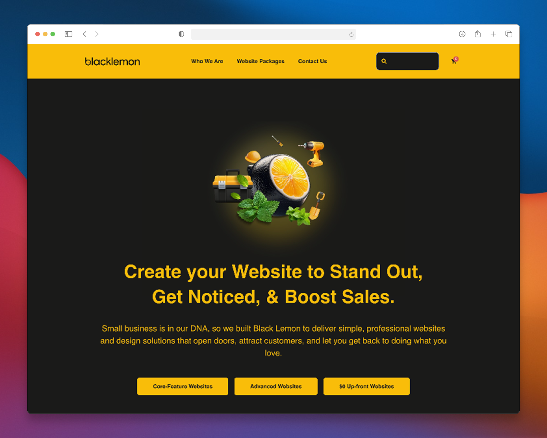 Black Lemon - Company Profile